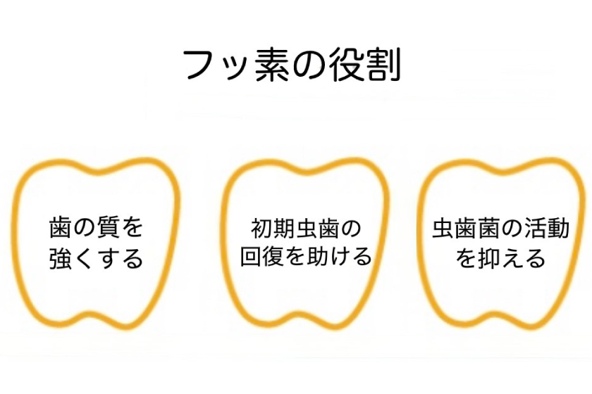 フッ素塗布